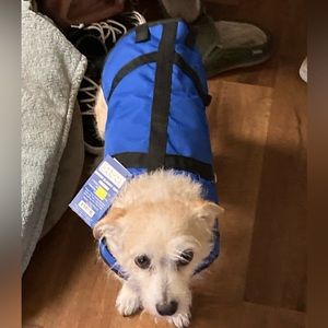 Meet your Posher, Jaulla